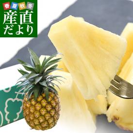 台湾産　ミルクパイン　大玉1玉（約2キロ）送料無料　クール便 パイン パイナップル パインアップル 台湾パイン
