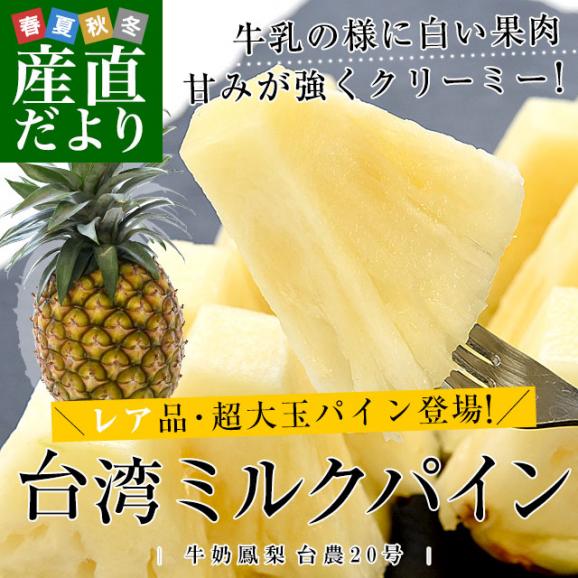 台湾産　ミルクパイン　大玉1玉（約2キロ）送料無料　クール便 パイン パイナップル パインアップル 台湾パイン02