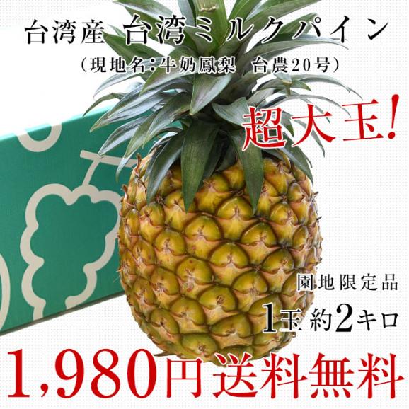 台湾産　ミルクパイン　大玉1玉（約2キロ）送料無料　クール便 パイン パイナップル パインアップル 台湾パイン03