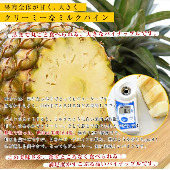 台湾産　ミルクパイン　大玉1玉（約2キロ）送料無料　クール便 パイン パイナップル パインアップル 台湾パイン04