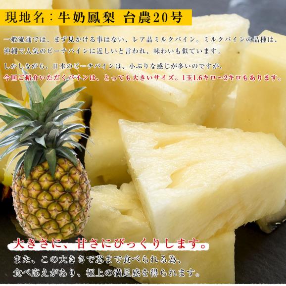 台湾産　ミルクパイン　大玉1玉（約2キロ）送料無料　クール便 パイン パイナップル パインアップル 台湾パイン06