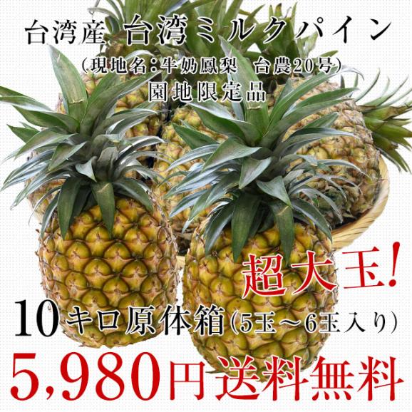 台湾産　ミルクパイン　10キロ（5玉から6玉）送料無料　クール便 パイン パイナップル パインアップル 台湾パイン03
