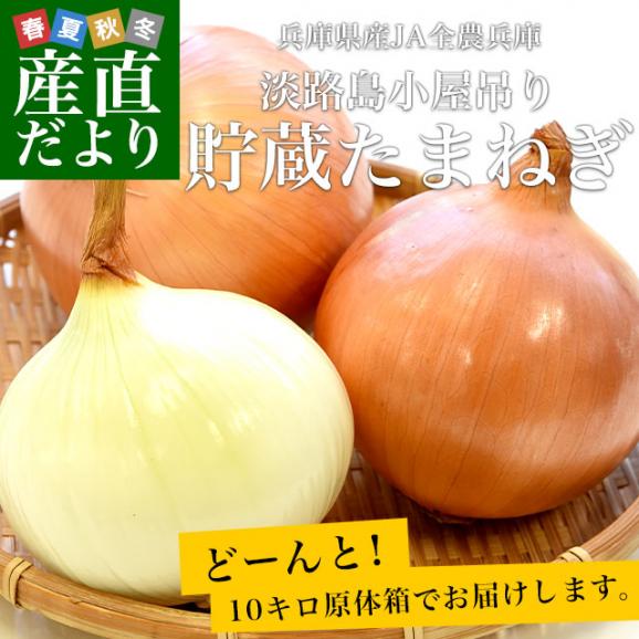 淡路島産　JA全農兵庫　淡路島小屋吊り貯蔵たまねぎ　秀品　2L～Lサイズ　10キロ（25玉から36玉前後）　送料無料　玉ねぎ　タマネギ　玉葱　あわじしま　大田市場発送品02
