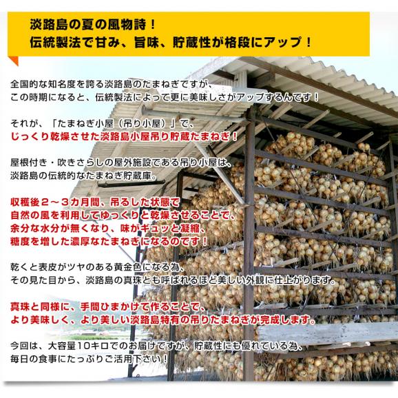 淡路島産　JA全農兵庫　淡路島小屋吊り貯蔵たまねぎ　秀品　2L～Lサイズ　10キロ（25玉から36玉前後）　送料無料　玉ねぎ　タマネギ　玉葱　あわじしま　大田市場発送品04