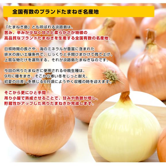 淡路島産　JA全農兵庫　淡路島小屋吊り貯蔵たまねぎ　秀品　2L～Lサイズ　10キロ（25玉から36玉前後）　送料無料　玉ねぎ　タマネギ　玉葱　あわじしま　大田市場発送品05