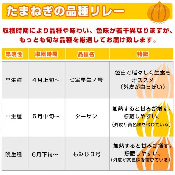 淡路島産　JA全農兵庫　淡路島小屋吊り貯蔵たまねぎ　秀品　2L～Lサイズ　10キロ（25玉から36玉前後）　送料無料　玉ねぎ　タマネギ　玉葱　あわじしま　大田市場発送品06