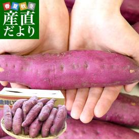 香川県産　JA香川県　坂出金時いも　秀品Lサイズ5キロ　18本前後　送料無料　さかいで　きんとき　さつまいも　サツマイモ　薩摩芋　新芋