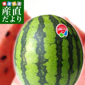 長野県産　JA松本ハイランド　大玉スイカ　秀品　3Lから4Lサイズ　8キロ以上　1玉入り　送料無料　西瓜　すいか　市場発送