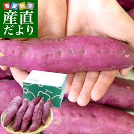 香川県産　JA香川県　坂出金時いも　秀品Lサイズ2.5キロ　9本前後　送料無料　さかいで　きんとき　さつまいも　サツマイモ　薩摩芋　新芋