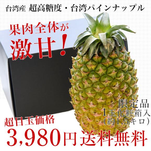 台湾産　超高糖度 台湾パイナップル　大玉1玉化粧箱（約1.5キロ）送料無料　クール便 パイン パイナップル パインアップル 台湾パイン03