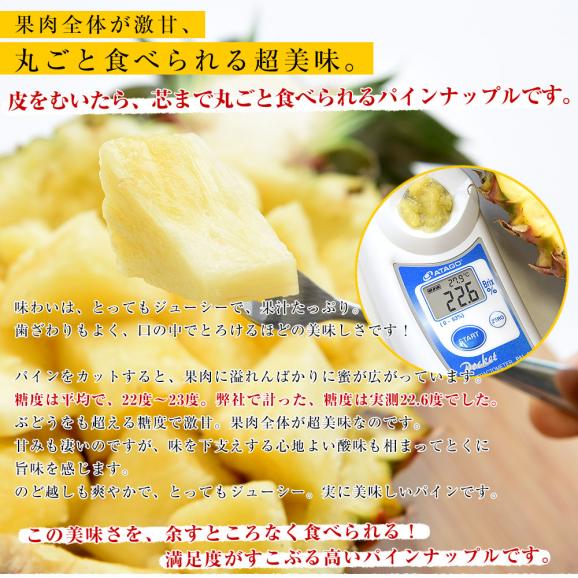 台湾産　超高糖度 台湾パイナップル　大玉1玉化粧箱（約1.5キロ）送料無料　クール便 パイン パイナップル パインアップル 台湾パイン04