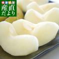 千葉県産 JAいちかわ 市川の梨（幸水梨、豊水梨、あきづき梨、新高梨）約3キロ （4玉から10玉） なし ナシ 送料無料