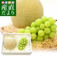 北海道メロンとシャイマスカットの詰合せ（1玉約1.5kg、1房約450g）化粧箱入り　ぶどう 葡萄　ブドウ　フルーツセット ギフト　送料無料　市場発送