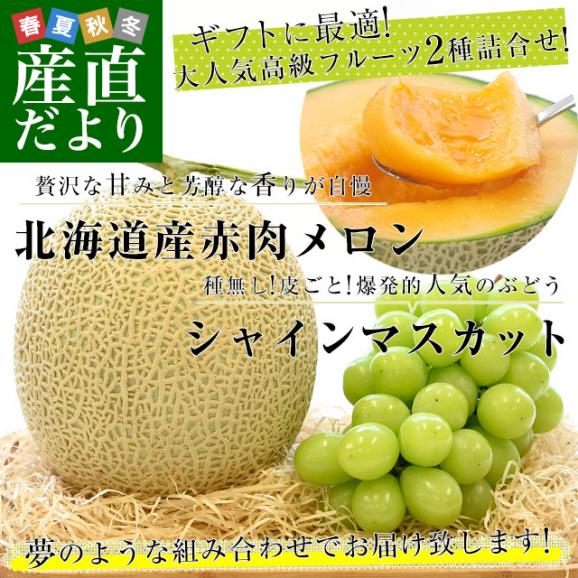 北海道メロンとシャイマスカットの詰合せ（1玉約1.5kg、1房約450g）化粧箱入り　ぶどう 葡萄　ブドウ　フルーツセット ギフト　送料無料　市場発送02