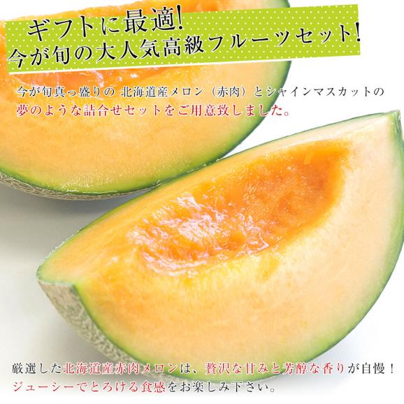 北海道メロンとシャイマスカットの詰合せ（1玉約1.5kg、1房約450g）化粧箱入り　ぶどう 葡萄　ブドウ　フルーツセット ギフト　送料無料　市場発送04