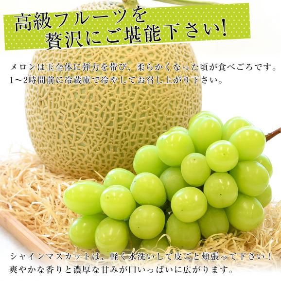 北海道メロンとシャイマスカットの詰合せ（1玉約1.5kg、1房約450g）化粧箱入り　ぶどう 葡萄　ブドウ　フルーツセット ギフト　送料無料　市場発送06