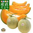 北海道産 JAきょうわ らいでんメロンプレミアム 赤肉 2玉（合計3キロ前後）めろん PREMIUM　ギフト