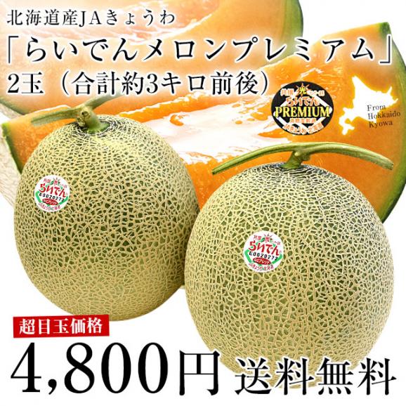 北海道産 JAきょうわ らいでんメロンプレミアム 赤肉 2玉（合計3キロ前後）めろん PREMIUM　ギフト03