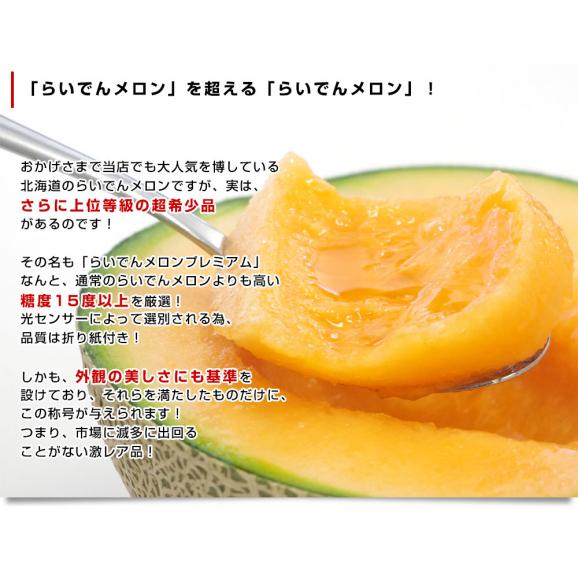 北海道産 JAきょうわ らいでんメロンプレミアム 赤肉 2玉（合計3キロ前後）めろん PREMIUM　ギフト04