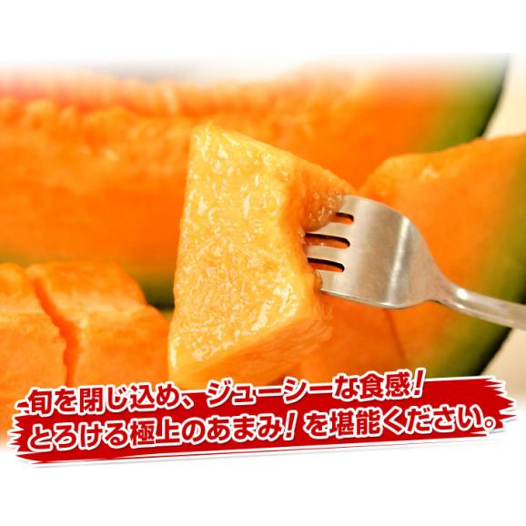 北海道産 JAきょうわ らいでんメロンプレミアム 赤肉 2玉（合計3キロ前後）めろん PREMIUM　ギフト05