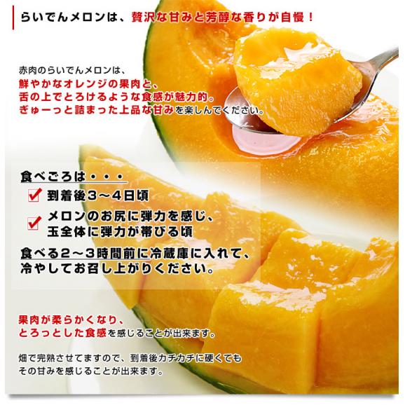 北海道産 JAきょうわ らいでんメロンプレミアム 赤肉 2玉（合計3キロ前後）めろん PREMIUM　ギフト06