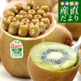 ニュージーランド産 ゼスプリ・グリーンキウイ 大玉 3.5キロ前後（25玉） 送料無料 クール便 キウイフルーツ ヘイワード 完熟キウイ