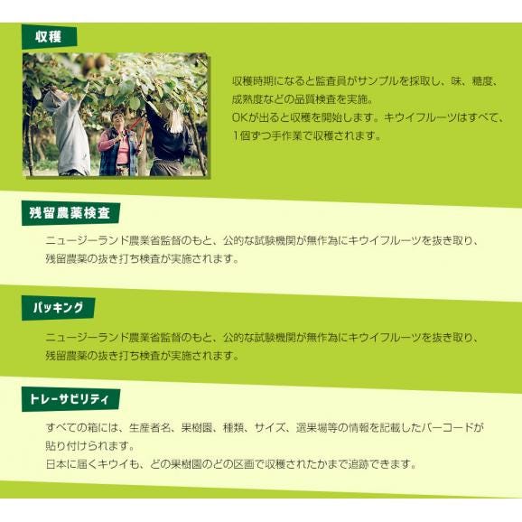ニュージーランド産 ゼスプリ・グリーンキウイ 大玉 3.5キロ前後（25玉） 送料無料 クール便 キウイフルーツ ヘイワード 完熟キウイ06