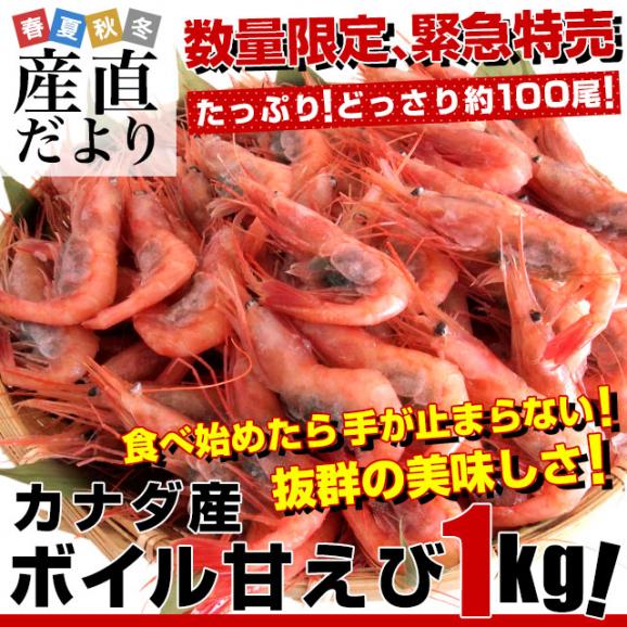 カナダ産 ボイル甘えび 1キロ（90から120尾）船上凍結品エビ 海老 蝦 赤えび 魚介 冷凍便02