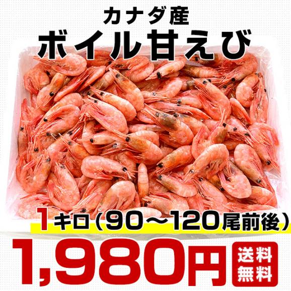 カナダ産 ボイル甘えび 1キロ（90から120尾）船上凍結品エビ 海老 蝦 赤えび 魚介 冷凍便03