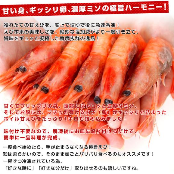 カナダ産 ボイル甘えび 1キロ（90から120尾）船上凍結品エビ 海老 蝦 赤えび 魚介 冷凍便04