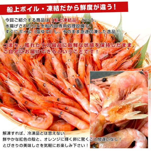 カナダ産 ボイル甘えび 1キロ（90から120尾）船上凍結品エビ 海老 蝦 赤えび 魚介 冷凍便05
