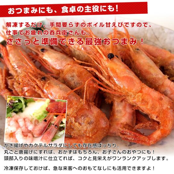 カナダ産 ボイル甘えび 1キロ（90から120尾）船上凍結品エビ 海老 蝦 赤えび 魚介 冷凍便06