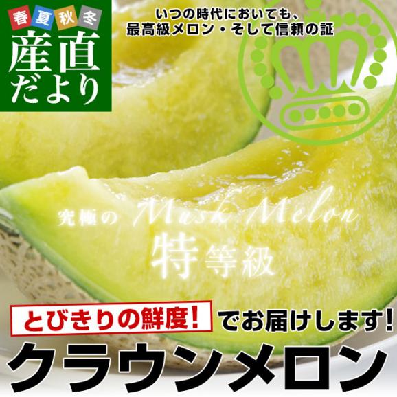 静岡県産 静岡県温室農協 クラウンメロン 特 合計7.5キロ以上（特大1.8キロ以上×4玉入り）メロン めろん 市場発送商品 送料無料02