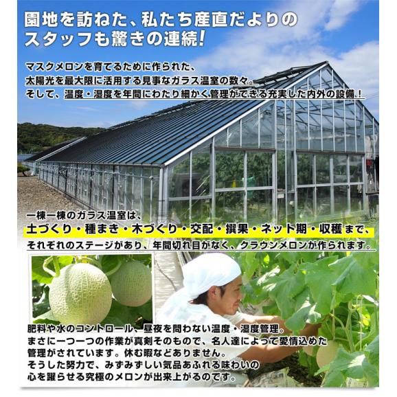 静岡県産 静岡県温室農協 クラウンメロン 特 合計7.5キロ以上（特大1.8キロ以上×4玉入り）メロン めろん 市場発送商品 送料無料05