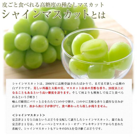 JA全農おかやま協賛 岡山県産  シャインマスカット＆ピオーネ 2種セット 秀品 大房2房入  (約600g×2房）送料無料 葡萄 ぶどう04