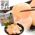 北海道より直送　北海道野付産　生食用冷凍ホタテ貝柱（玉冷　赤玉）Lサイズ　500g（12から14粒前後）ほたて　帆立　魚介　刺身　送料無料　冷凍便