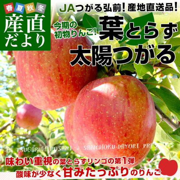 青森県より産地直送 JAつがる弘前 葉とらず太陽つがる 約3キロ(9玉から13玉)　りんご　リンゴ　林檎02
