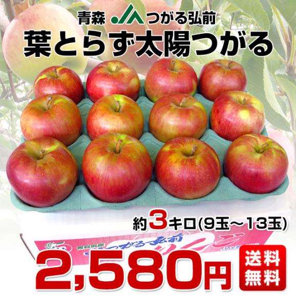青森県より産地直送 JAつがる弘前 葉とらず太陽つがる 約3キロ(9玉から13玉)　りんご　リンゴ　林檎03