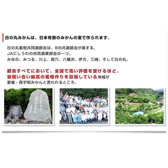 愛媛県より産地直送 JAにしうわ 日の丸みかん 千両 LからSサイズ 5キロ(40玉から60玉) 送料無料 蜜柑 ミカン お歳暮 ギフト05