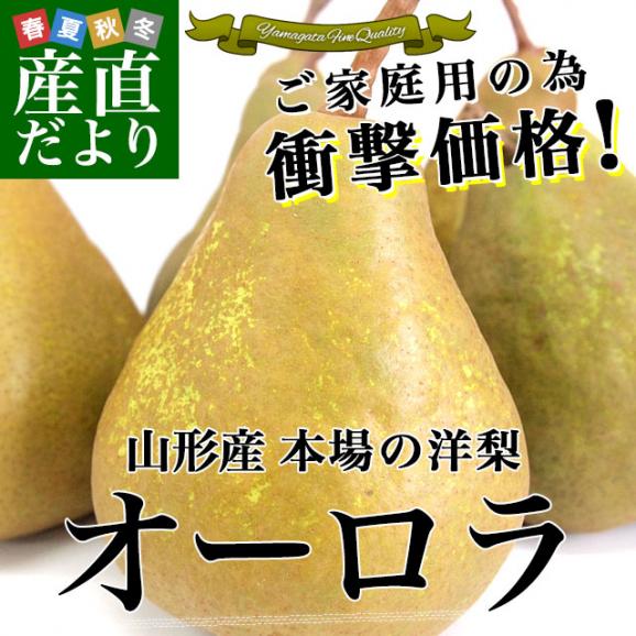 山形県より産地直送　本場の洋梨　オーロラ ご家庭用 約５キロ　（8玉から18玉）　洋梨　洋なし 洋ナシ　02