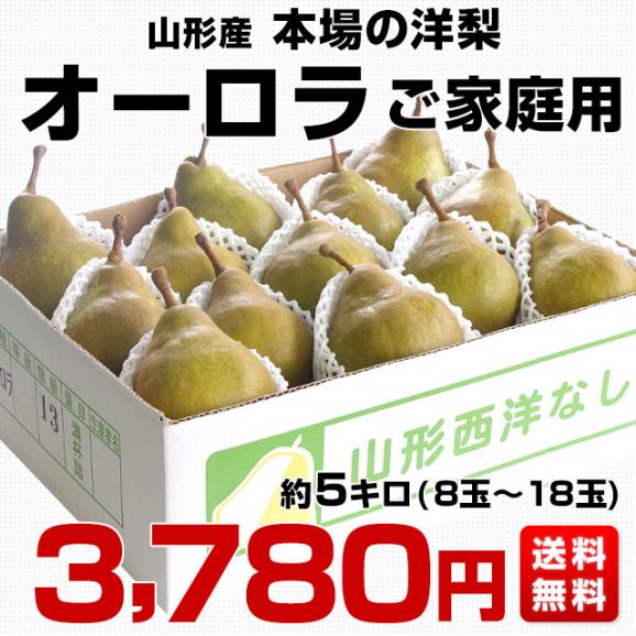 山形県より産地直送　本場の洋梨　オーロラ ご家庭用 約５キロ　（8玉から18玉）　洋梨　洋なし 洋ナシ　03