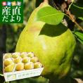山形県より産地直送 洋梨マルゲリットマリーラ ご家庭用5キロ(8玉から18玉) 洋梨　洋なし 洋ナシ