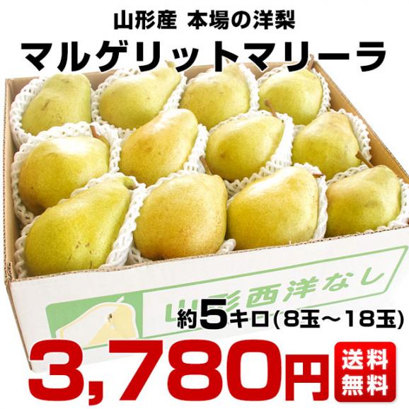 山形県より産地直送 洋梨マルゲリットマリーラ ご家庭用5キロ(8玉から18玉) 洋梨　洋なし 洋ナシ03
