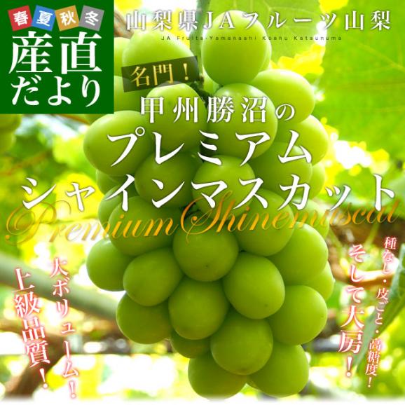 山梨県より産地直送 JAフルーツ山梨 勝沼支所 シャインマスカット 秀品 1.8キロ(大房3房入) 葡萄 ぶどう 送料無料02