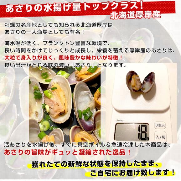 北海道厚岸産　冷凍ボイルあさり　計500g（250g×2袋セット）アサリ　浅利　魚介　冷凍便　送料無料04
