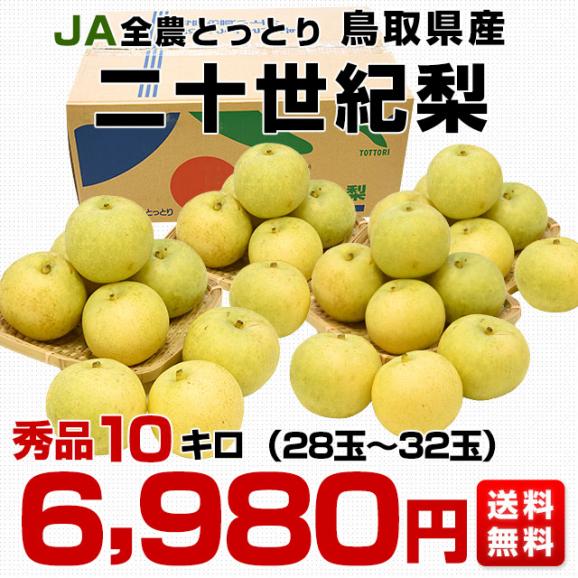 鳥取県産　JA全農とっとり　二十世紀梨　秀品10キロ（28玉から32玉）なし　ナシ　20世紀　送料無料　市場発送03