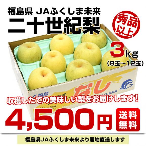 福島県より産地直送 JAふくしま未来 二十世紀梨 秀品 約3キロ (8玉から12玉) なしナシ20世紀なし 送料無料03