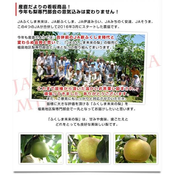 福島県より産地直送 JAふくしま未来 二十世紀梨 秀品 約3キロ (8玉から12玉) なしナシ20世紀なし 送料無料05