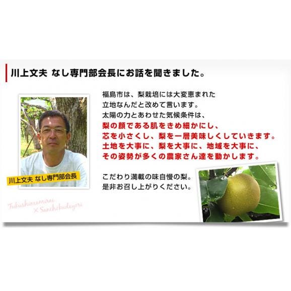 福島県より産地直送 JAふくしま未来 二十世紀梨 秀品 約3キロ （6玉から10玉） なしナシ20世紀なし 送料無料06