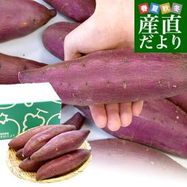 千葉県産 JAかとり シルクスイート Lサイズ2.5キロ 7本前後 送料無料 さつまいも サツマイモ 薩摩芋 新芋 市場発送